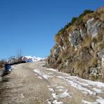 Relax,camminate e bei panorami con i nostri Bernesi