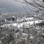 Relax,camminate e bei panorami con i nostri Bernesi